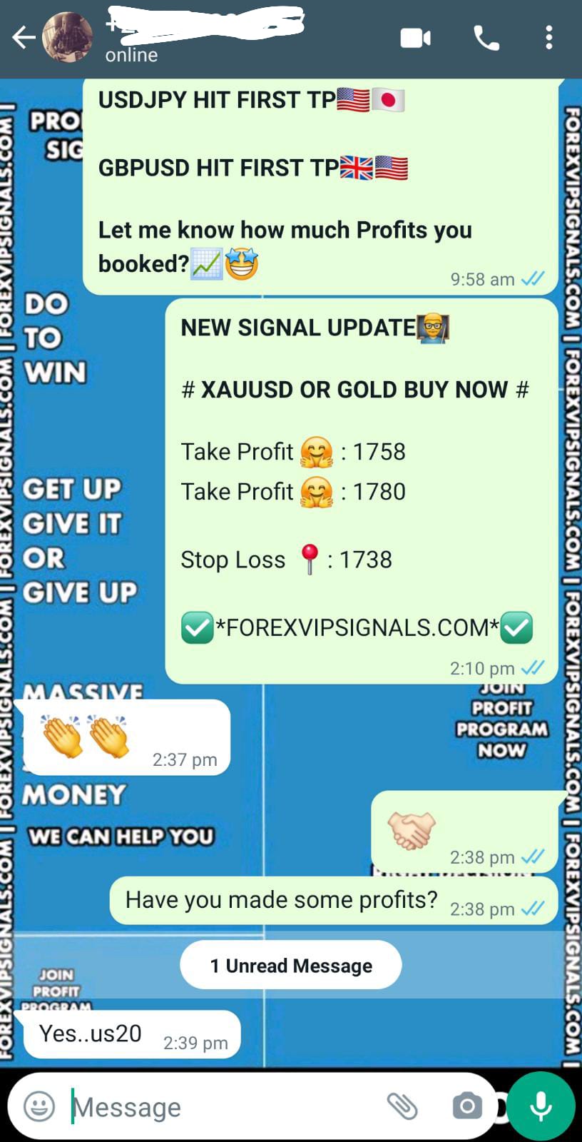 daily forex signals with forex vip signals