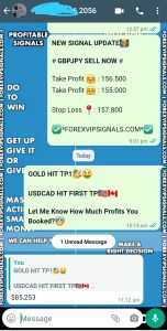 forex trading for beginners with forex vip signals