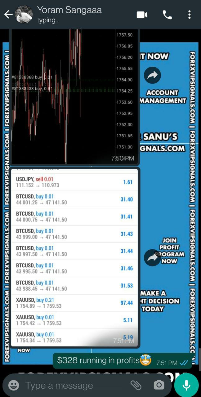 forex by forex vip signals