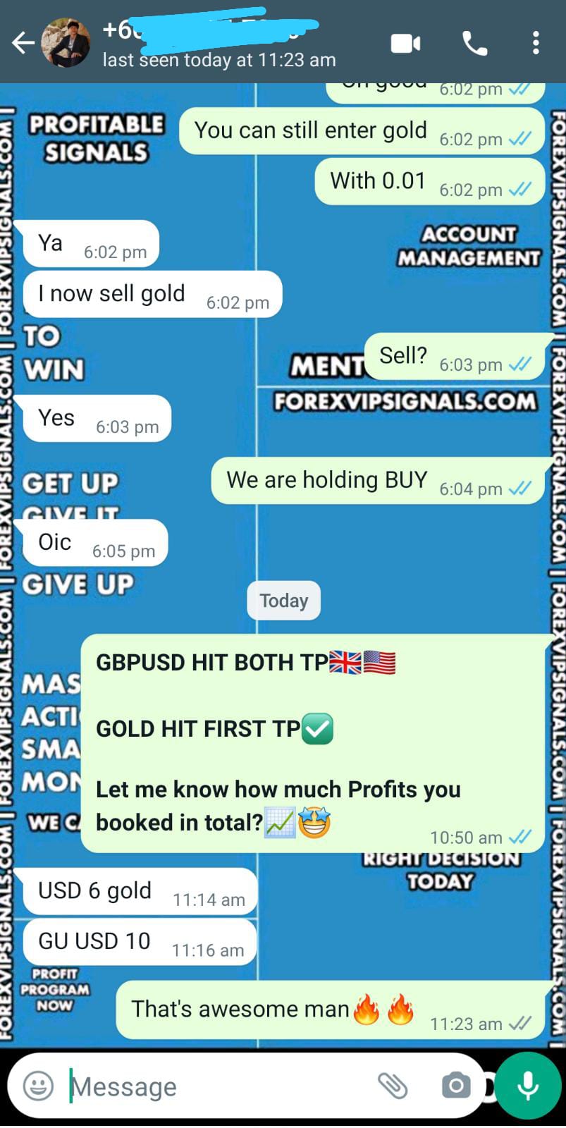 forexsignals with forex vip signals