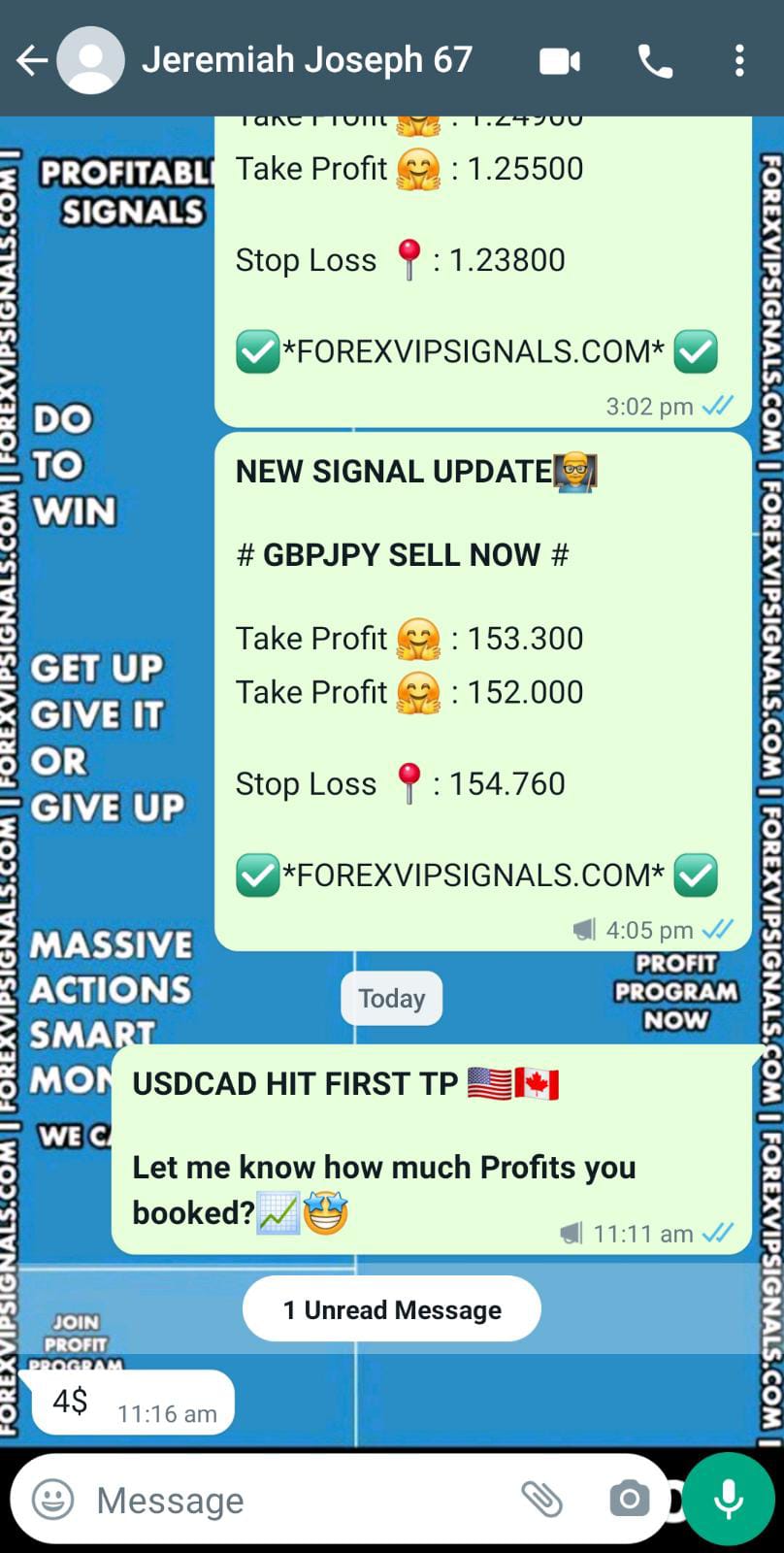 live daily signals with forex vip signals