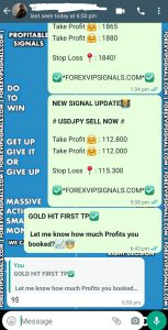 forex market with forex vip signals