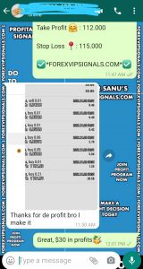 forex signals telegram with forex vip signals