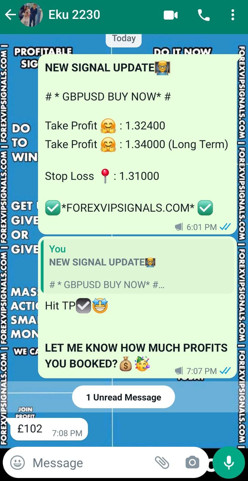 daily forex signals with forex vip signals