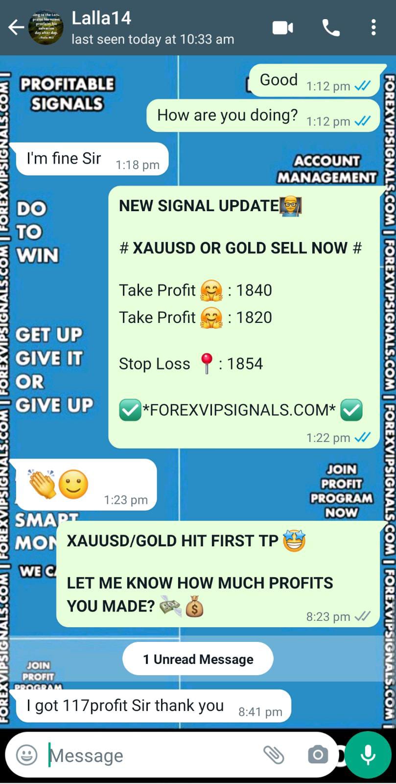 daily forex with forex vip signals