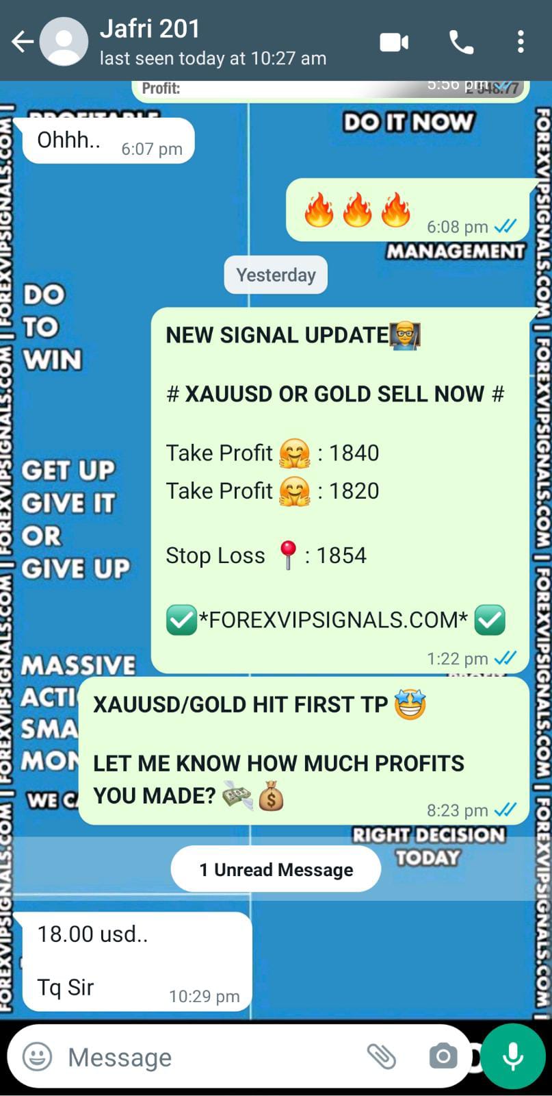 forex leverage by forex vip signals