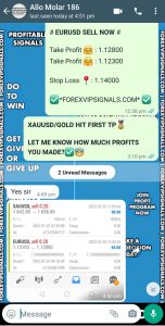 forex market live with forex vip signals