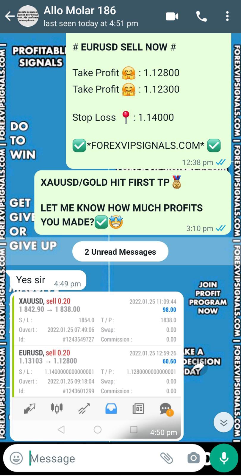 forex market live with forex vip signals