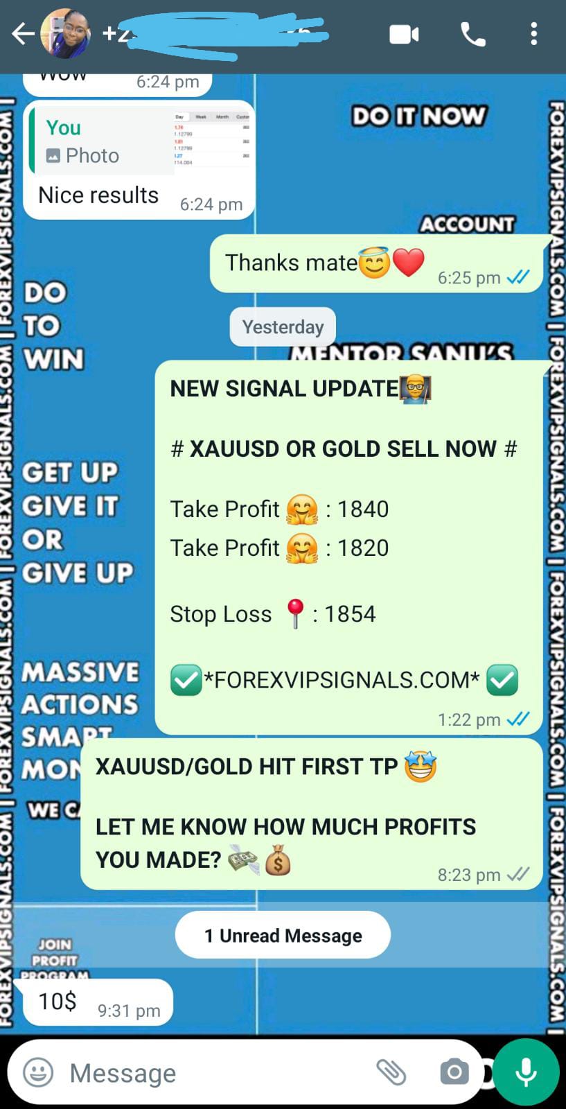 forex pips by forex vip signals