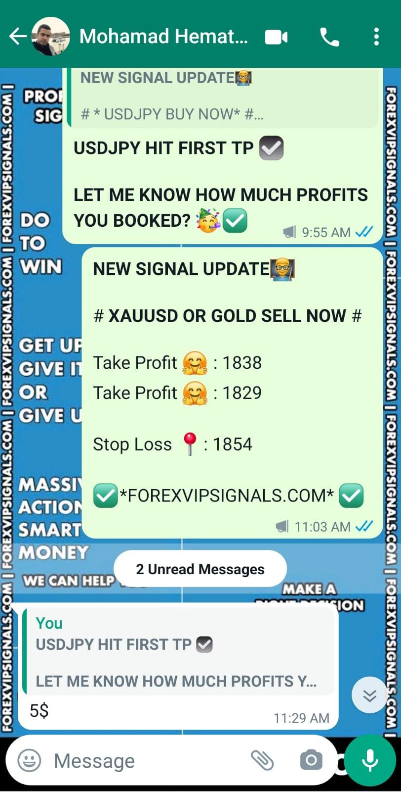 forex trading with forex vip signals