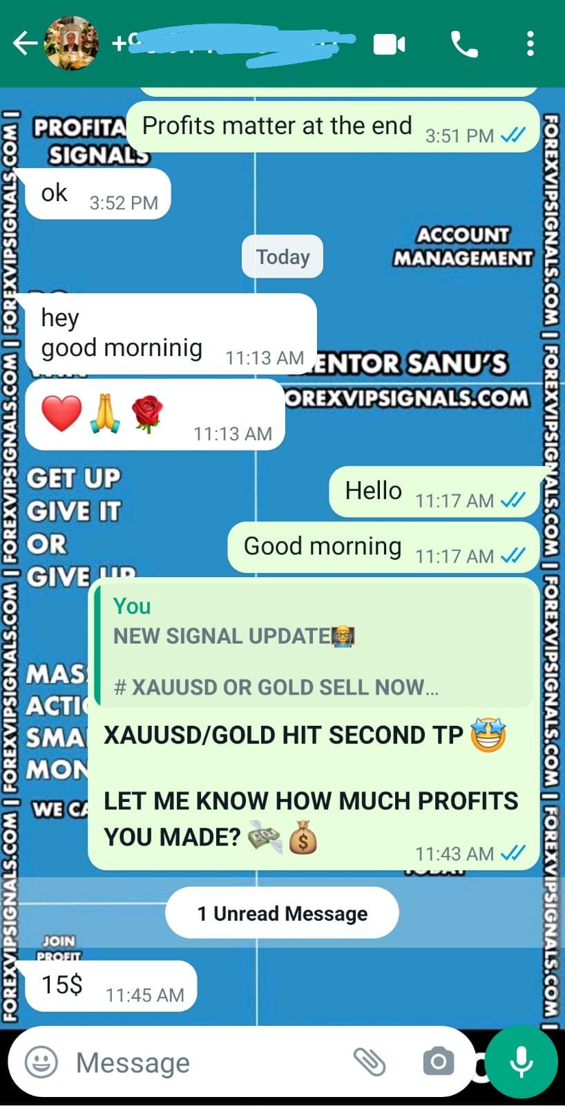 forex trading for beginners with forex vip signals