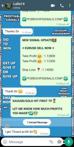 free forex signals telegram by forex vip signals