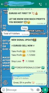 best forex signals telegram with forex vip signals