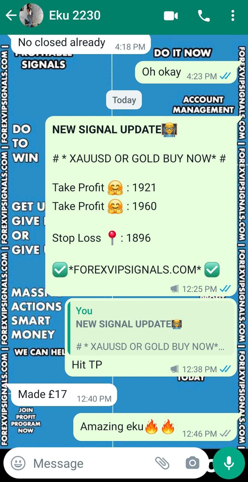 forex signal factory by forex vip signals