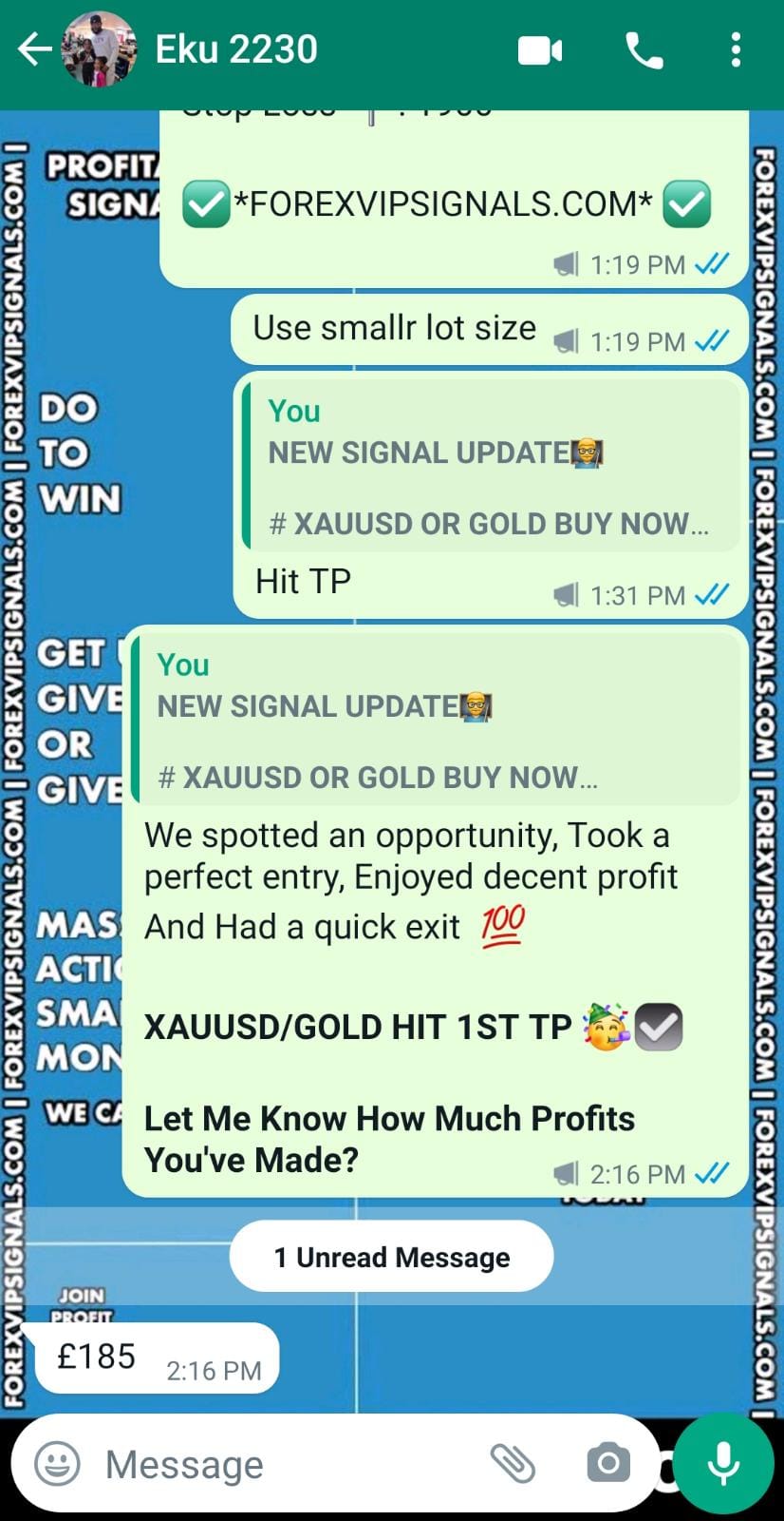 forex signal telegram by forex vip signals