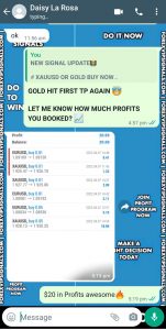 forex trading by forex vip signals