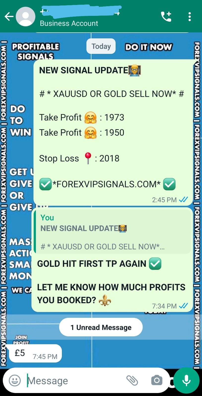 fx trading with forex vip signals