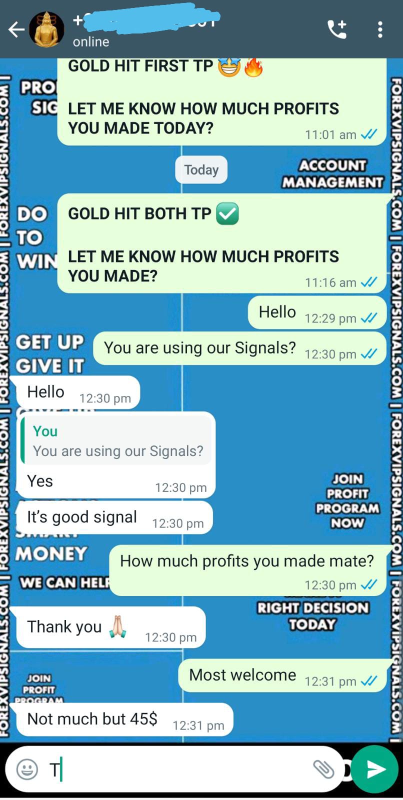 forex strategies with forex vip signals