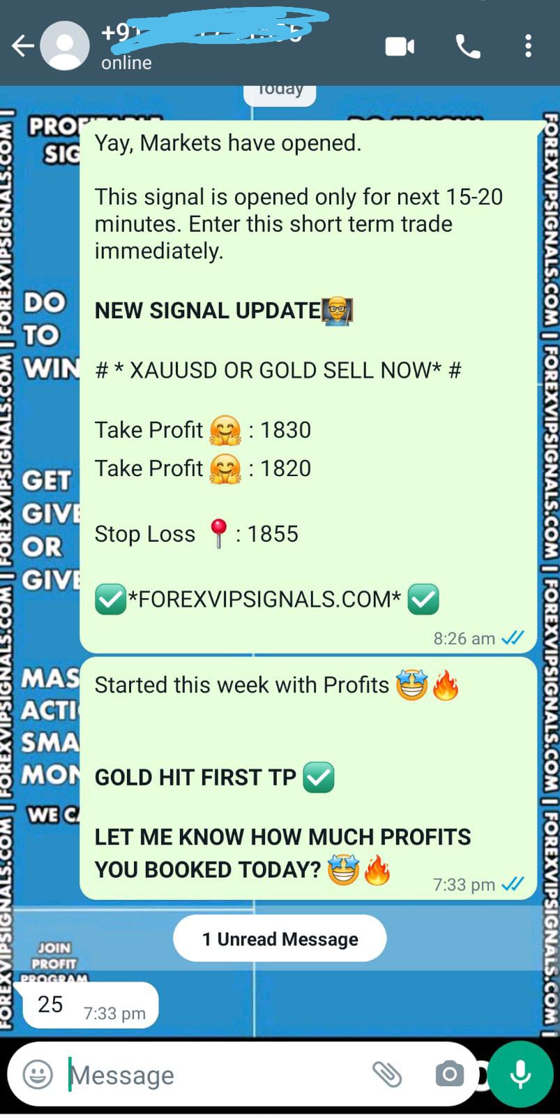 forex chart with forex vip signals