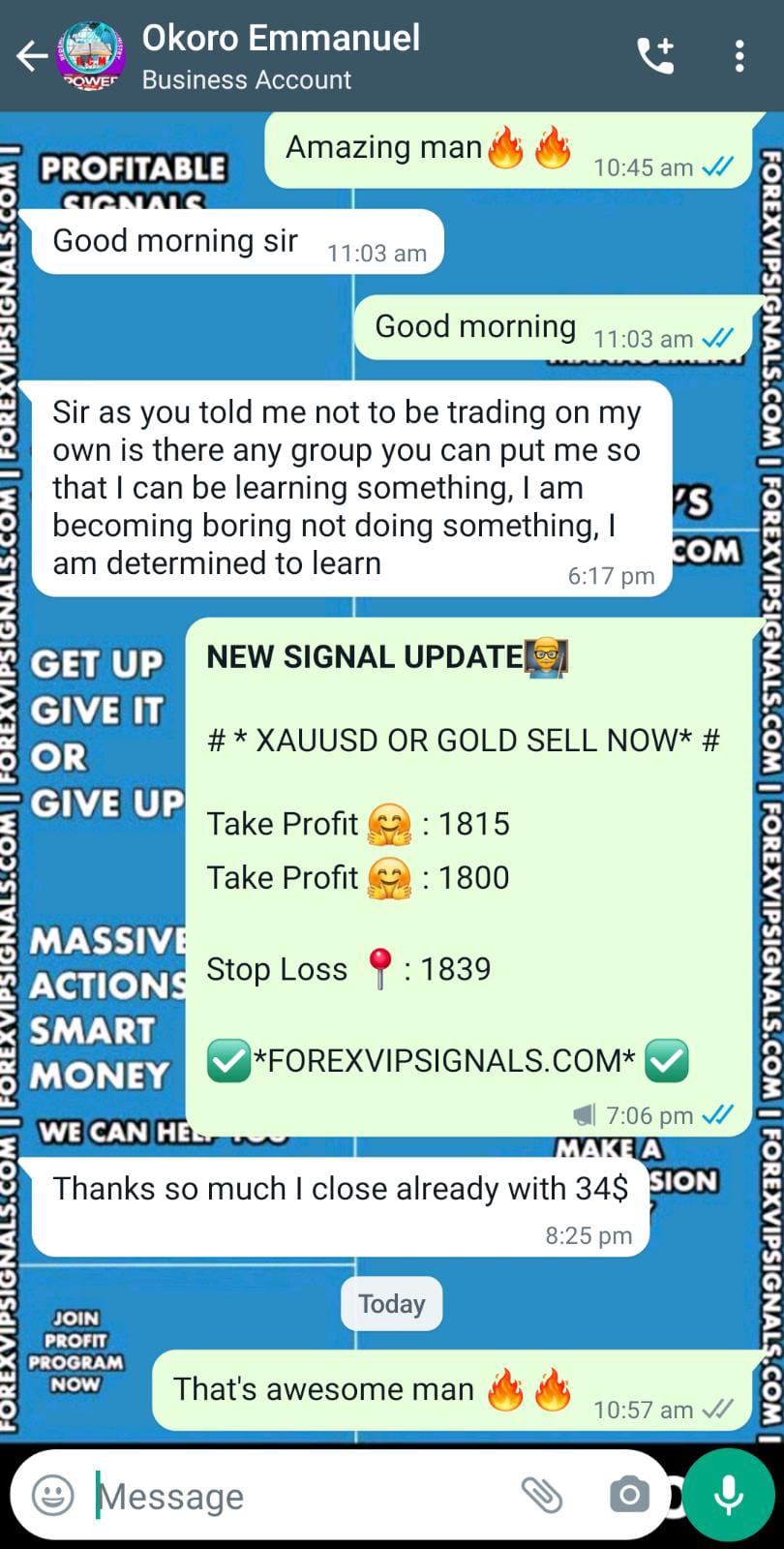 best signal forex by forex vip signals