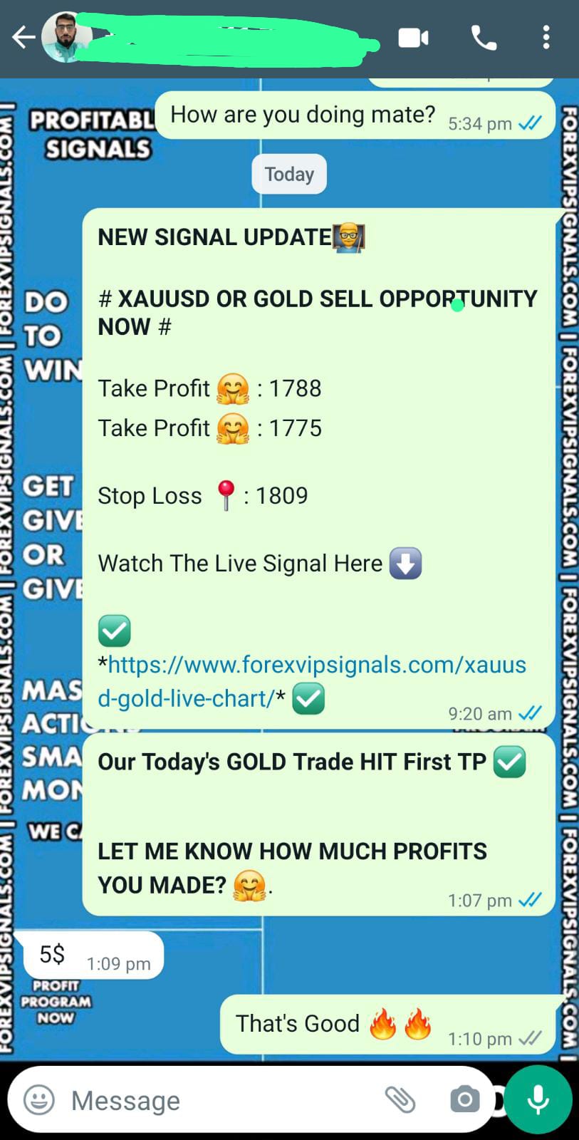 fx trading by forex vip signals