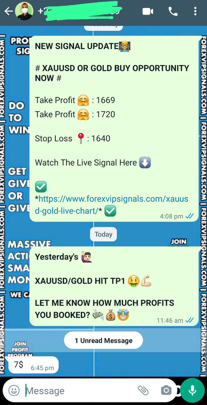 daily trading by forex vip signals
