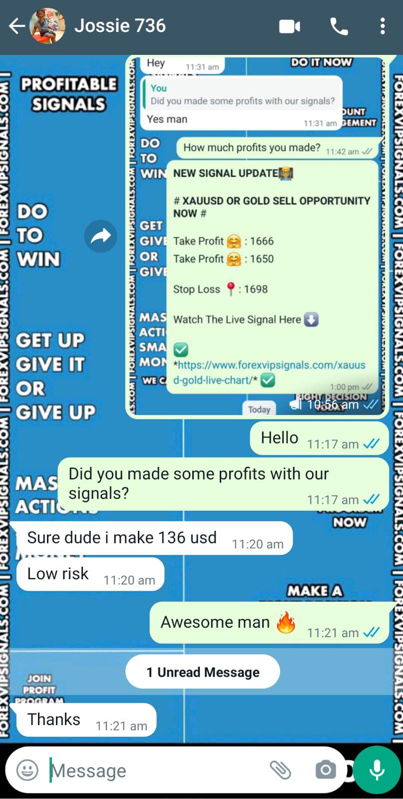 forex investing with forex vip signals