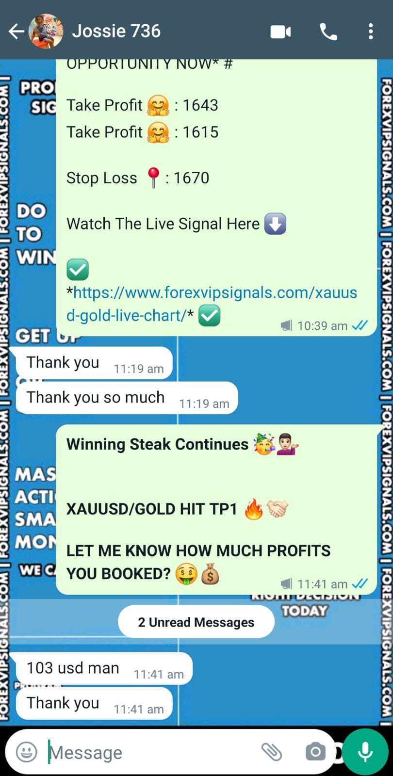 forex trade with forex vip signals