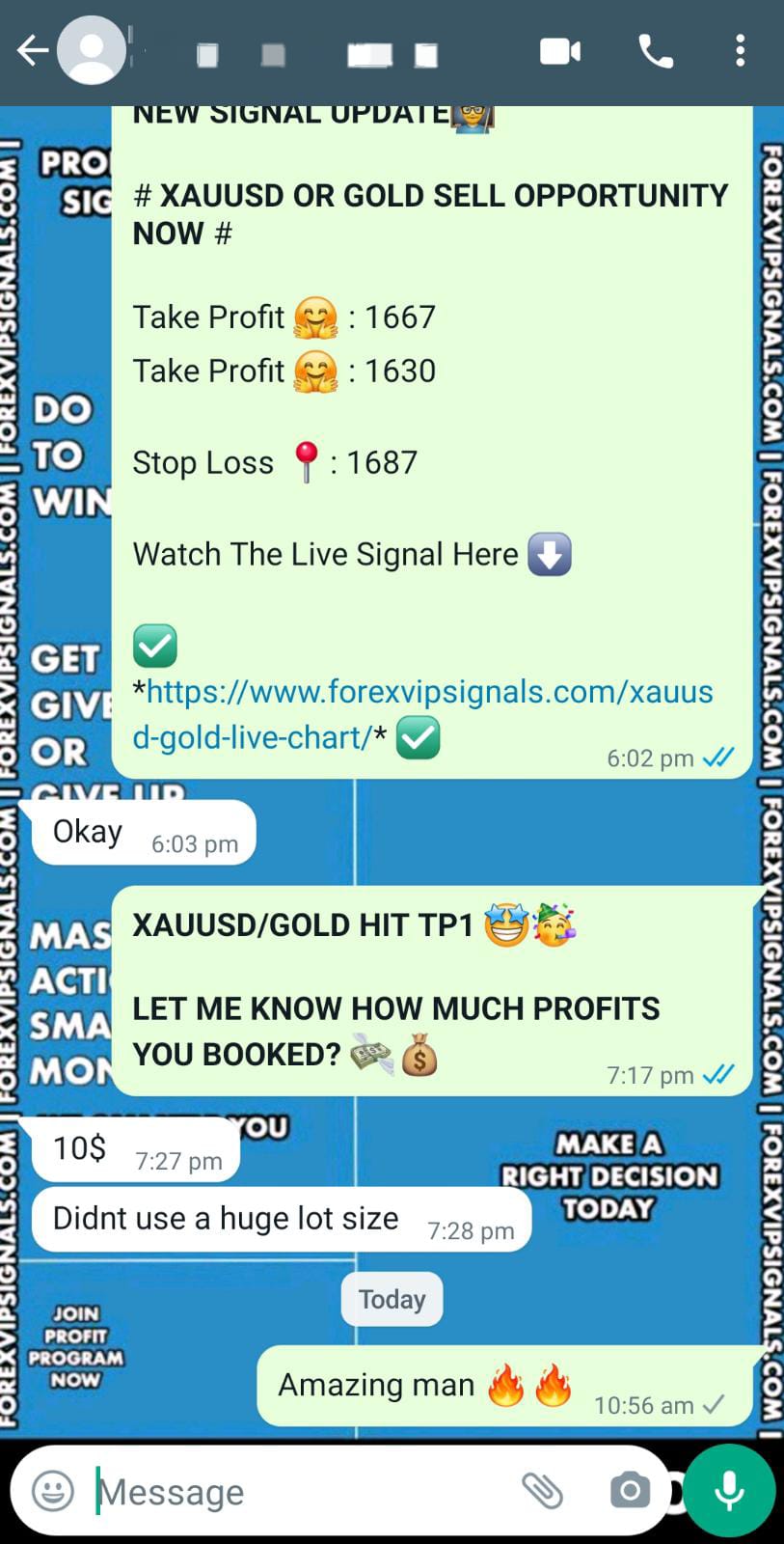 forexsignal with forex vip signals