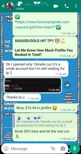 metatrader 5 with forex vip signals