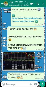 best forex signal providers by forex vip signals
