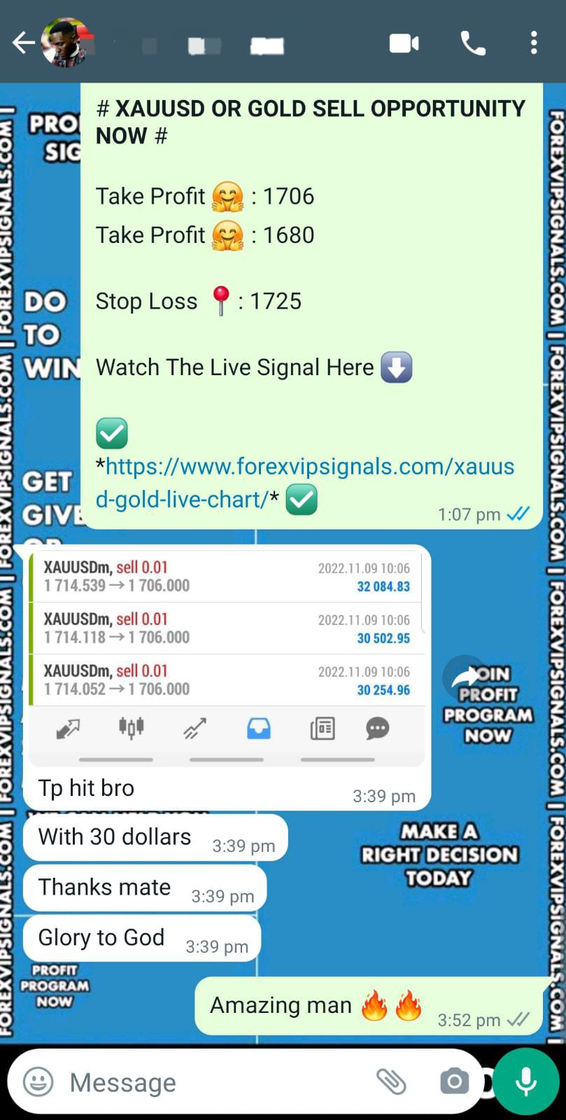 forex trading signals with forex vip signals
