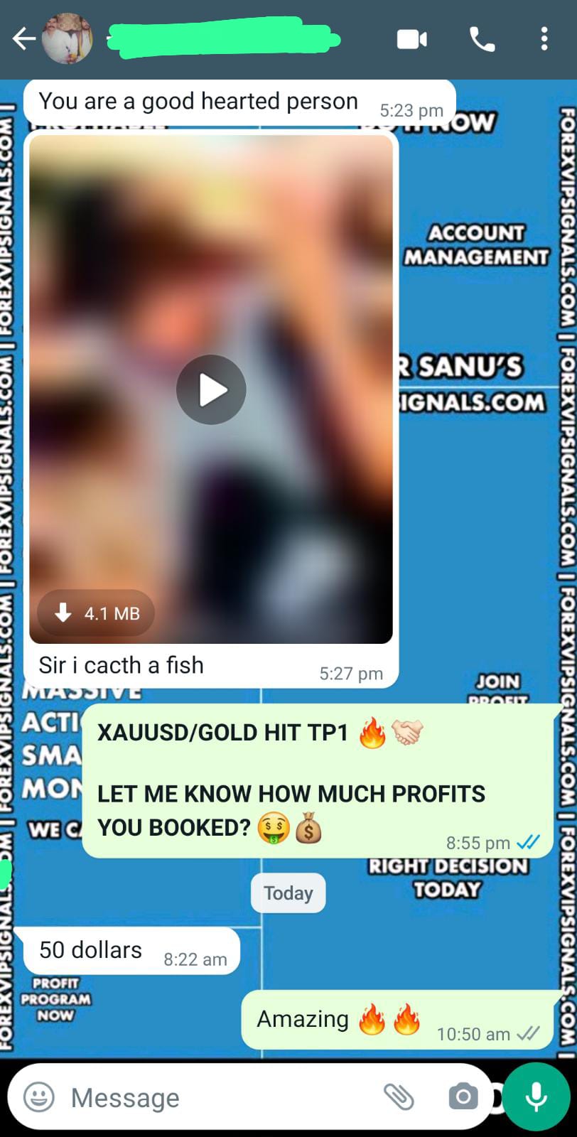 free forex signals telegram with forex vip signals