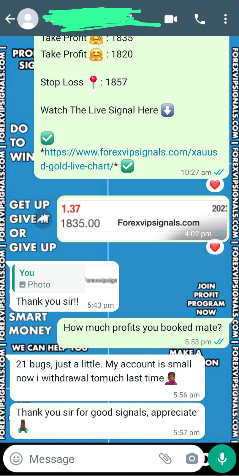 best forex signals