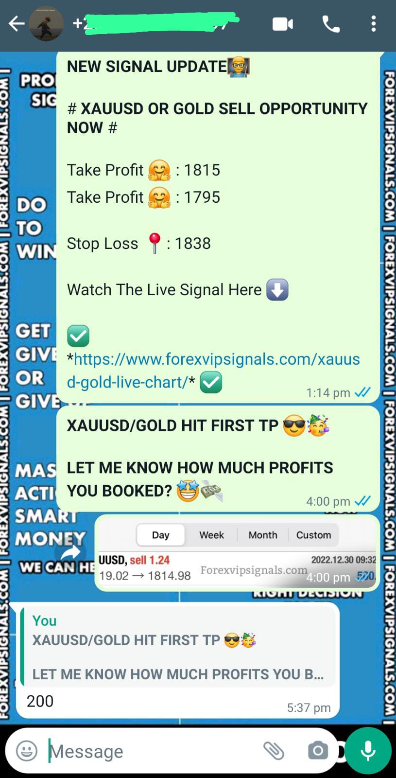 forex investing with forex vip signals