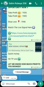 free telegram signals