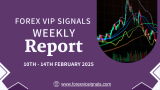 Forex Signals Feb Week 2: Guaranteed Gains, Real Results!