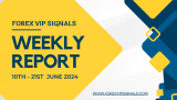 June ’24 Forex Signals Week 2 & 3 Review