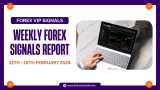 February Trading Insights: 2nd Week 2024