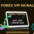 1ST WEEK FEBRUARY FOREX SIGNALS FINAL REPORTS 2023