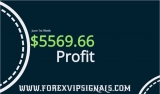 HONEST FOREX SIGNALS 1ST WEEK JUNE 2019 REPORT