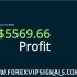 FOREX PROFIT SIGNALS 2ND WEEK JUNE 2019 HONEST REPORT