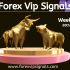2ND WEEK FEBRUARY FOREX SIGNALS FINAL REPORTS 2023