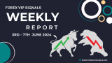 June ’24 Trading Signals Week 1 Report