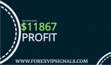 BEST FOREX SIGNALS 3RD WEEK JUNE 2019 REPORT