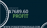 FOREX PROFITS AUGUST 4TH WEEK 2019 HONEST REPORT