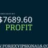 FOREX SIGNALS PROFIT 1ST WEEK SEPTEMBER REPORT