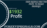 Real Forex Signals Honest Report 2ND WEEK DECEMBER 2018