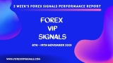 8TH – 19TH NOVEMBER FOREX SIGNALS FINAL REPORTS 2021