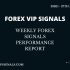 AUGUST 3RD WEEK FOREX SIGNALS FINAL REPORTS 2021